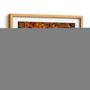 Mañana Lluviosa En Hyatt Lane - Danny Head | Cuadro decorativo de Canvas Lab