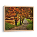 Mañana Lluviosa En Hyatt Lane - Danny Head | Cuadro decorativo de Canvas Lab