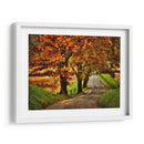 Mañana Lluviosa En Hyatt Lane - Danny Head | Cuadro decorativo de Canvas Lab