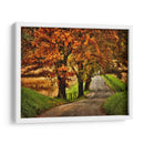 Mañana Lluviosa En Hyatt Lane - Danny Head | Cuadro decorativo de Canvas Lab