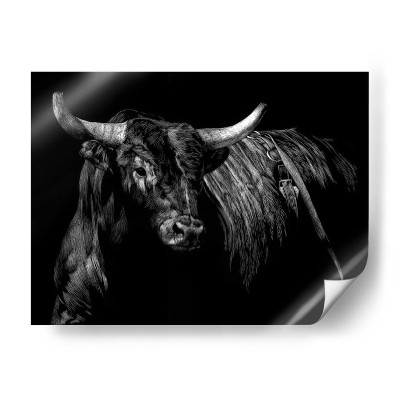 Brindle Rodeo Bull - Julie T. Chapman | Cuadro decorativo de Canvas Lab