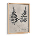 Estudio De Helecho Vintage I - Vision Studio | Cuadro decorativo de Canvas Lab