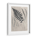 Estudio De Helecho Vintage Ii - Vision Studio | Cuadro decorativo de Canvas Lab