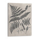Estudio De Helecho Vintage Iv - Vision Studio | Cuadro decorativo de Canvas Lab