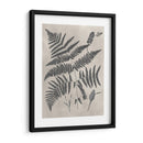 Estudio De Helecho Vintage Iv - Vision Studio | Cuadro decorativo de Canvas Lab