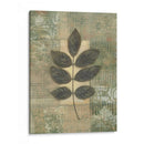 Texturas De Hojas Ii - Norman Wyatt Jr. | Cuadro decorativo de Canvas Lab