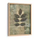 Texturas De Hojas Ii - Norman Wyatt Jr. | Cuadro decorativo de Canvas Lab