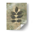 Texturas De Hojas Ii - Norman Wyatt Jr. | Cuadro decorativo de Canvas Lab