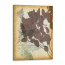 Letras De Hoja I - Jennifer Goldberger | Cuadro decorativo de Canvas Lab