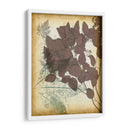 Letras De Hoja I - Jennifer Goldberger | Cuadro decorativo de Canvas Lab