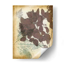 Letras De Hoja I - Jennifer Goldberger | Cuadro decorativo de Canvas Lab