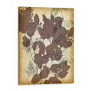 Letras De Hojas Ii - Jennifer Goldberger | Cuadro decorativo de Canvas Lab