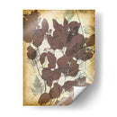 Letras De Hojas Ii - Jennifer Goldberger | Cuadro decorativo de Canvas Lab