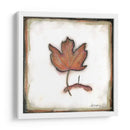 Caída Color Ii - Alicia Ludwig | Cuadro decorativo de Canvas Lab