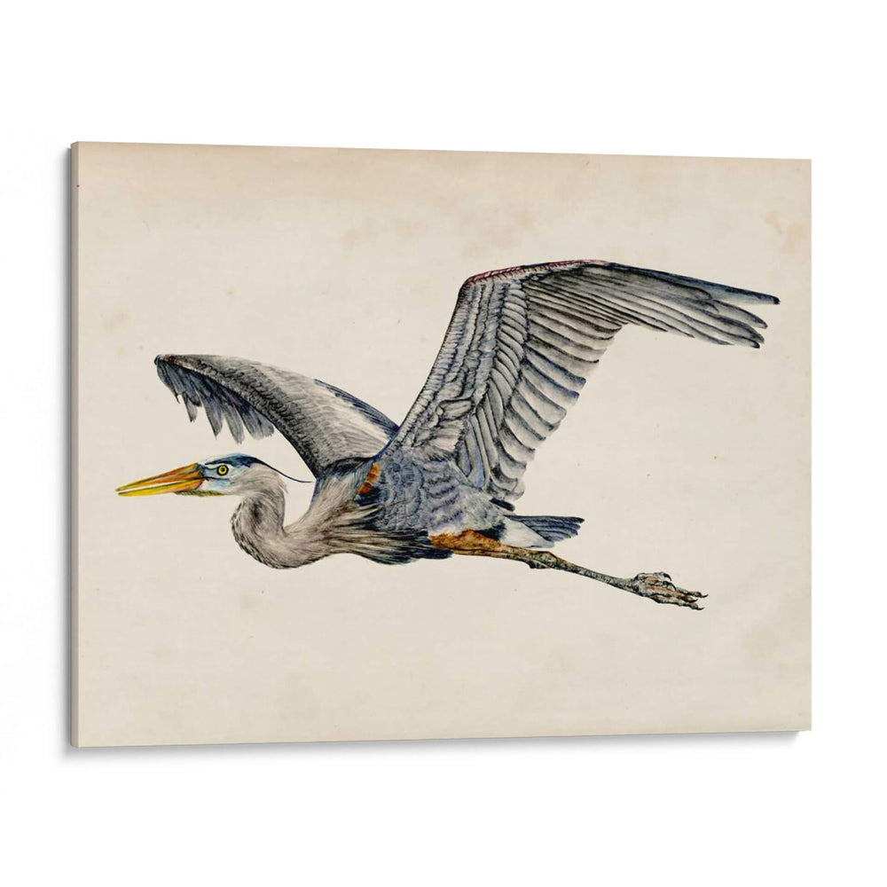 Blue Heron Rendering Iii - Melissa Wang | Cuadro decorativo de Canvas Lab