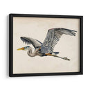 Blue Heron Rendering Iii - Melissa Wang | Cuadro decorativo de Canvas Lab