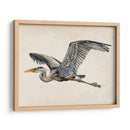 Blue Heron Rendering Iii - Melissa Wang | Cuadro decorativo de Canvas Lab