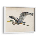 Blue Heron Rendering Iii - Melissa Wang | Cuadro decorativo de Canvas Lab