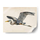 Blue Heron Rendering Iii - Melissa Wang | Cuadro decorativo de Canvas Lab