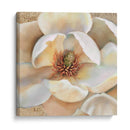 Masterpiece Ii De Magnolia - Louise Montillio | Cuadro decorativo de Canvas Lab