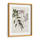 Estudios En La Naturaleza I - Mark Catesby | Cuadro decorativo de Canvas Lab