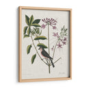 Estudios En La Naturaleza I - Mark Catesby | Cuadro decorativo de Canvas Lab