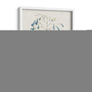 Estudios En La Naturaleza Ii. - Mark Catesby | Cuadro decorativo de Canvas Lab