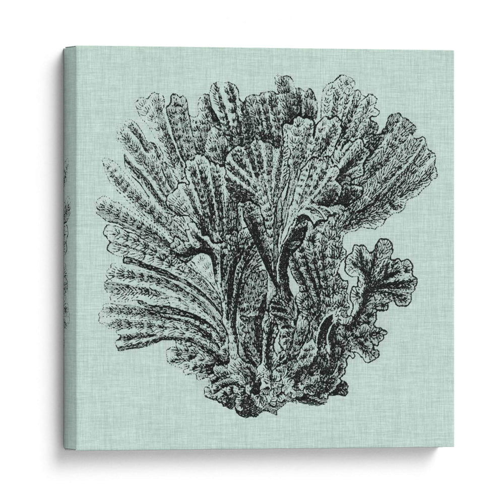 Sereno Coral I - Vision Studio | Cuadro decorativo de Canvas Lab