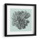 Sereno Coral I - Vision Studio | Cuadro decorativo de Canvas Lab