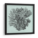 Sereno Coral I - Vision Studio | Cuadro decorativo de Canvas Lab