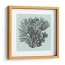 Sereno Coral I - Vision Studio | Cuadro decorativo de Canvas Lab