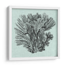 Sereno Coral I - Vision Studio | Cuadro decorativo de Canvas Lab