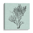 Sereno Coral Iii - Vision Studio | Cuadro decorativo de Canvas Lab