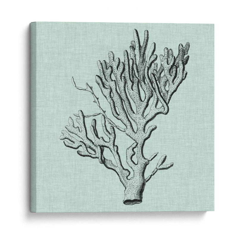 Sereno Coral Iii - Vision Studio | Cuadro decorativo de Canvas Lab