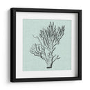 Sereno Coral Iii - Vision Studio | Cuadro decorativo de Canvas Lab