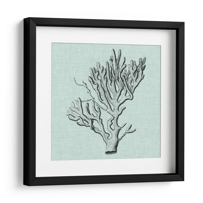 Sereno Coral Iii - Vision Studio | Cuadro decorativo de Canvas Lab
