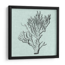 Sereno Coral Iii - Vision Studio | Cuadro decorativo de Canvas Lab