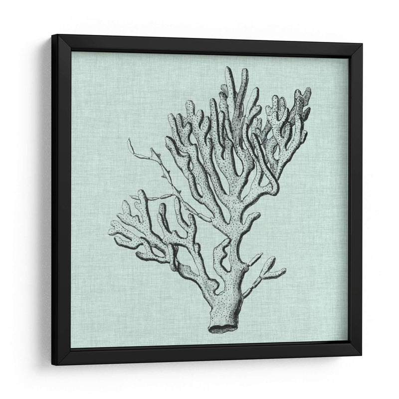 Sereno Coral Iii - Vision Studio | Cuadro decorativo de Canvas Lab