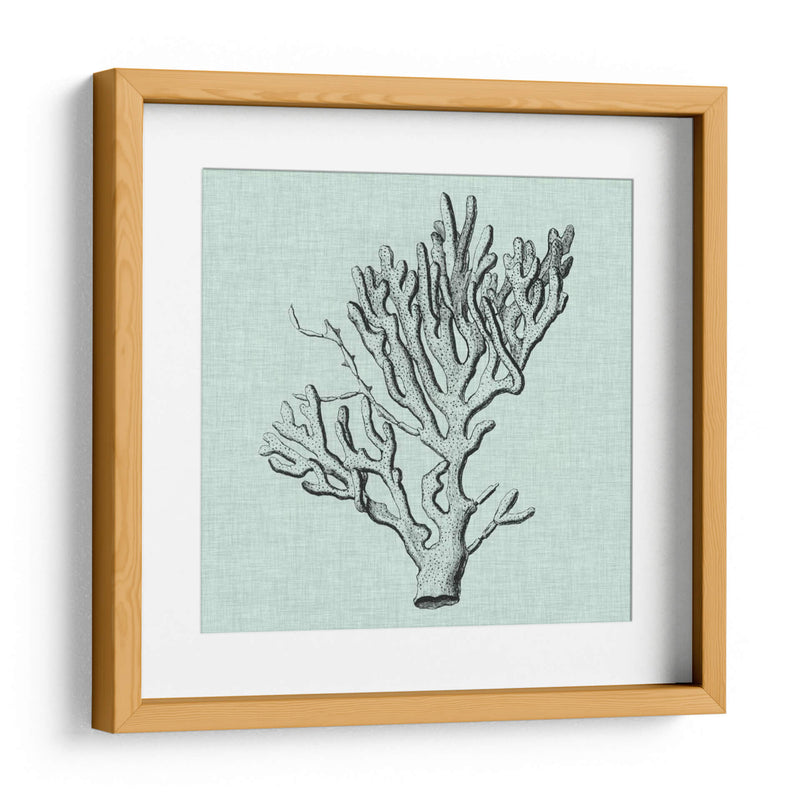 Sereno Coral Iii - Vision Studio | Cuadro decorativo de Canvas Lab