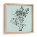 Sereno Coral Iii - Vision Studio | Cuadro decorativo de Canvas Lab