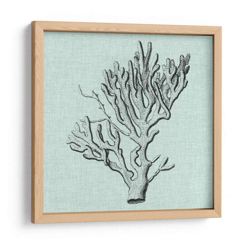 Sereno Coral Iii - Vision Studio | Cuadro decorativo de Canvas Lab