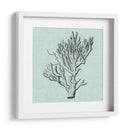 Sereno Coral Iii - Vision Studio | Cuadro decorativo de Canvas Lab