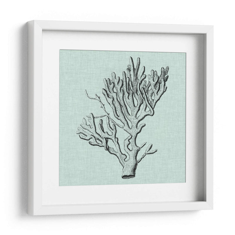 Sereno Coral Iii - Vision Studio | Cuadro decorativo de Canvas Lab