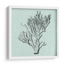 Sereno Coral Iii - Vision Studio | Cuadro decorativo de Canvas Lab