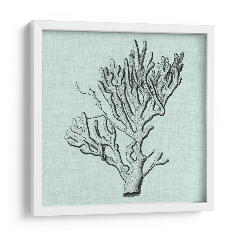Sereno Coral Iii - Vision Studio | Cuadro decorativo de Canvas Lab