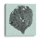 Sereno Coral Iv - Vision Studio | Cuadro decorativo de Canvas Lab