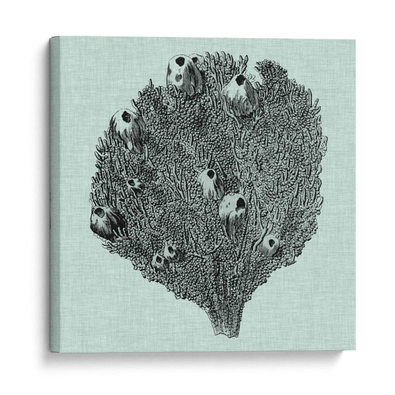 Sereno Coral Iv - Vision Studio | Cuadro decorativo de Canvas Lab