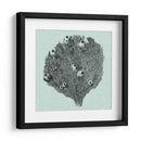 Sereno Coral Iv - Vision Studio | Cuadro decorativo de Canvas Lab