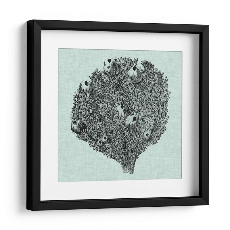 Sereno Coral Iv - Vision Studio | Cuadro decorativo de Canvas Lab