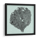 Sereno Coral Iv - Vision Studio | Cuadro decorativo de Canvas Lab